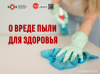 О вреде пыли для здоровья