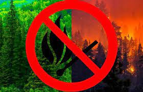 Дополнительные меры пожарной безопасности в лесах Удмуртии